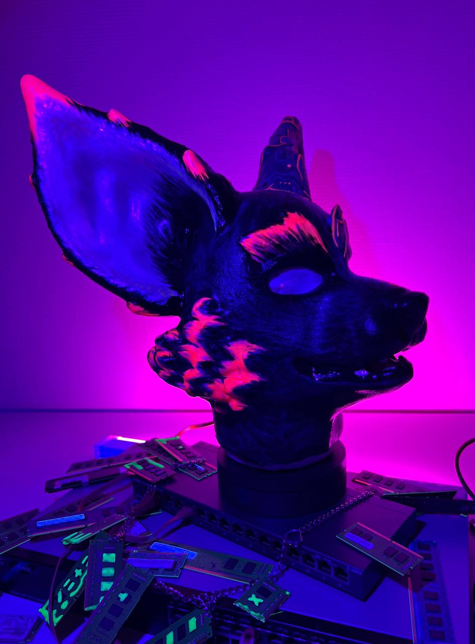 Foxministrator Bild 5